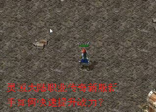 灵域大陆职业传奇新服新手如何快速提升战力? 灵域大陆职业传奇新服新手如何快速提升战力?