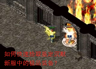 如何快速拾取鉴定沉默新服中的极品装备? 如何快速拾取鉴定沉默新服中的极品装备?