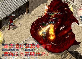 ���������ְҵ������ǿװ�����ĵ��䣿