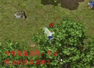 传奇苦逼法师:何去何从的终极攻略? 传奇苦逼法师:何去何从的终极攻略?