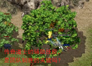 传奇道士的辅助技能,是团队制胜的关键吗? 传奇道士的辅助技能,是团队制胜的关键吗?