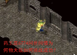 药王庄6774问世间情为何物天级如何挑战成功? 药王庄6774问世间情为何物天级如何挑战成功?