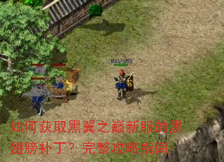 如何获取黑翼之巅新服的黑翅膀补丁?完整攻略指南 如何获取黑翼之巅新服的黑翅膀补丁?完整攻略指南