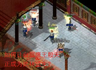 如何让白眉鹰王殷天正成为武林盟主? 如何让白眉鹰王殷天正成为武林盟主?