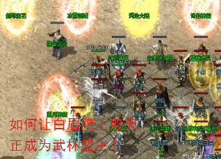 如何让白眉鹰王殷天正成为武林盟主? 如何让白眉鹰王殷天正成为武林盟主?