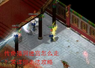 传奇猪洞迷宫怎么走?求详细走法攻略 传奇猪洞迷宫怎么走?求详细走法攻略