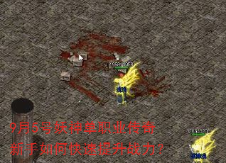9月5号妖神单职业传奇新手如何快速提升战力? 9月5号妖神单职业传奇新手如何快速提升战力?