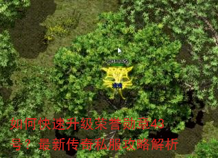 如何快速升级荣誉勋章43号?最新传奇私服攻略解析 如何快速升级荣誉勋章43号?最新传奇私服攻略解析