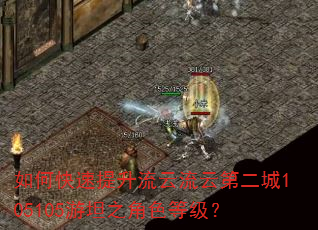 如何快速提升流云流云第二城105105游坦之角色等级? 如何快速提升流云流云第二城105105游坦之角色等级?