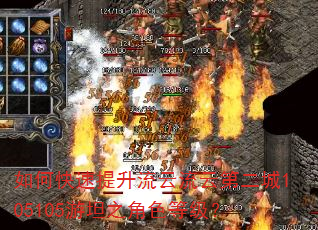 如何快速提升流云流云第二城105105游坦之角色等级? 如何快速提升流云流云第二城105105游坦之角色等级?