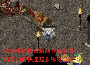 逐鹿中原传奇新服开服必看?新手如何快速起步称霸全服 逐鹿中原传奇新服开服必看?新手如何快速起步称霸全服