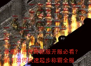 逐鹿中原传奇新服开服必看?新手如何快速起步称霸全服 逐鹿中原传奇新服开服必看?新手如何快速起步称霸全服
