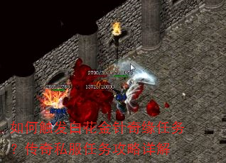 如何触发白花金针奇缘任务?传奇私服任务攻略详解 如何触发白花金针奇缘任务?传奇私服任务攻略详解