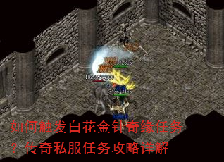 如何触发白花金针奇缘任务?传奇私服任务攻略详解 如何触发白花金针奇缘任务?传奇私服任务攻略详解