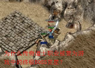 Ϊʲô�����ʿְҵ����Ϊ��Ϸ�е��ռ�BOSS���ǣ�