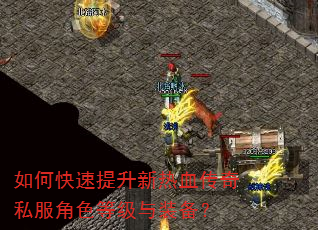 如何快速提升新热血传奇私服角色等级与装备? 如何快速提升新热血传奇私服角色等级与装备?