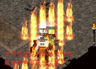 如何快速提升新热血传奇私服角色等级与装备? 如何快速提升新热血传奇私服角色等级与装备?
