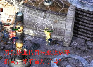 ������Ѫ����˽���湥��ָ�ϣ���׼��������