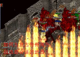 ���Ϊ���Ŵ����ɫ��ѡ����ʵ�������