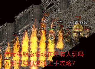 传奇私服永恒现在还有人玩吗?新手如何快速上手攻略? 传奇私服永恒现在还有人玩吗?新手如何快速上手攻略?