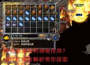 传奇角蝇有何神奇作用?游戏攻略全解析带你探索 传奇角蝇有何神奇作用?游戏攻略全解析带你探索