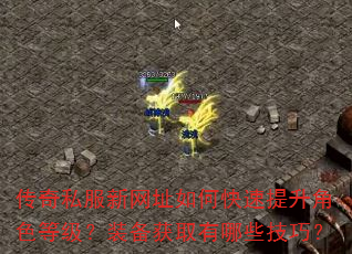 传奇私服新网址如何快速提升角色等级?装备获取有哪些技巧? 传奇私服新网址如何快速提升角色等级?装备获取有哪些技巧?
