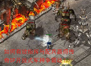 如何有效指挥与配兵赢得传奇SF开放式军种争霸战? 如何有效指挥与配兵赢得传奇SF开放式军种争霸战?