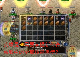 英雄是否需要掌握新传奇私服中的全部技能类型? 英雄是否需要掌握新传奇私服中的全部技能类型?