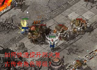 如何快速提升烈火复古传奇角色等级? 如何快速提升烈火复古传奇角色等级?