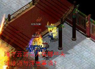 蹲守云游商人有哪些关键技巧与注意事项? 蹲守云游商人有哪些关键技巧与注意事项?