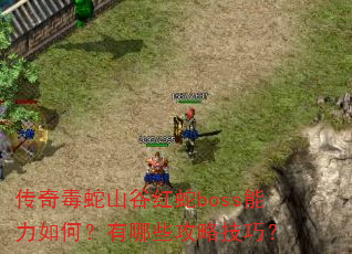 传奇毒蛇山谷红蛇boss能力如何?有哪些攻略技巧? 传奇毒蛇山谷红蛇boss能力如何?有哪些攻略技巧?
