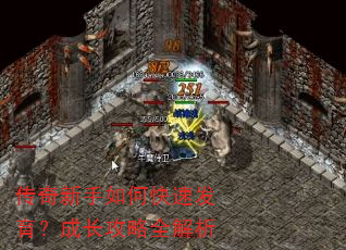 传奇新手如何快速发育?成长攻略全解析 传奇新手如何快速发育?成长攻略全解析