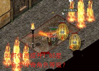 如何快速提升1.85星王合击传奇角色等级? 如何快速提升1.85星王合击传奇角色等级?