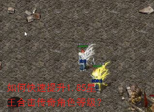 如何快速提升1.85星王合击传奇角色等级? 如何快速提升1.85星王合击传奇角色等级?