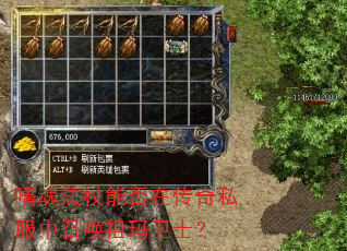 嗜魂法杖能否在传奇私服中召唤祖玛卫士? 嗜魂法杖能否在传奇私服中召唤祖玛卫士?