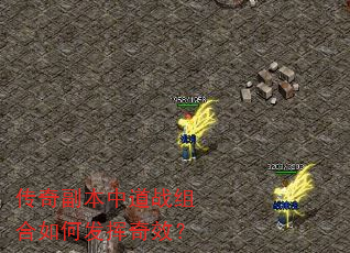 传奇副本中道战组合如何发挥奇效? 传奇副本中道战组合如何发挥奇效?