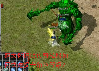 盛大怀旧版传奇私服如何快速提升角色等级? 盛大怀旧版传奇私服如何快速提升角色等级?