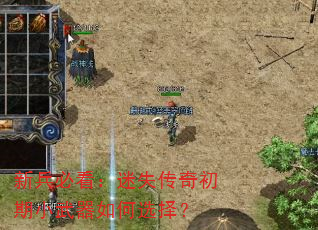 新兵必看:迷失传奇初期小武器如何选择? 新兵必看:迷失传奇初期小武器如何选择?
