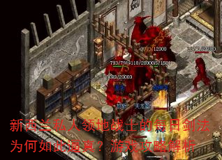 新西兰私人领地战士的每日剑法为何如此逼真?游戏攻略解析 新西兰私人领地战士的每日剑法为何如此逼真?游戏攻略解析