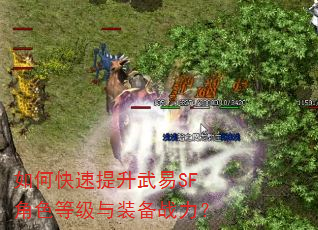 如何快速提升武易SF角色等级与装备战力? 如何快速提升武易SF角色等级与装备战力?