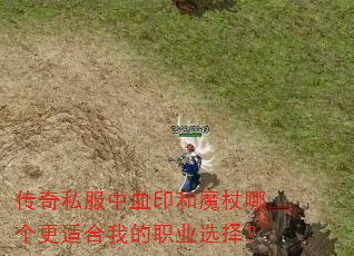 传奇私服中血印和魔杖哪个更适合我的职业选择? 传奇私服中血印和魔杖哪个更适合我的职业选择?