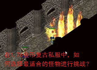 在1.76金币复古私服中,如何选择最适合的怪物进行挑战? 在1.76金币复古私服中,如何选择最适合的怪物进行挑战?