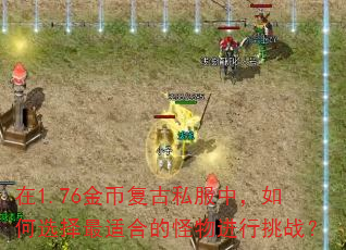 在1.76金币复古私服中,如何选择最适合的怪物进行挑战? 在1.76金币复古私服中,如何选择最适合的怪物进行挑战?