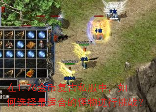 在1.76金币复古私服中,如何选择最适合的怪物进行挑战? 在1.76金币复古私服中,如何选择最适合的怪物进行挑战?