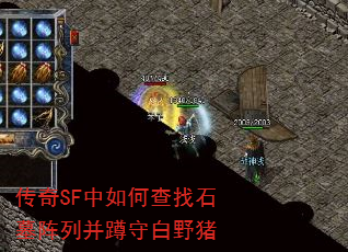 ����SF����β���ʯĹ���в����ذ�Ұ��