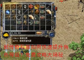 新传奇私服如何快速提升角色等级?免费攻略大揭秘 新传奇私服如何快速提升角色等级?免费攻略大揭秘