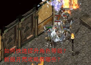 如何快速提升角色等级?新服开荒攻略有哪些? 如何快速提升角色等级?新服开荒攻略有哪些?