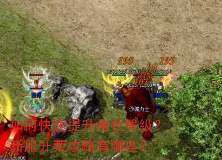 如何快速提升角色等级?新服开荒攻略有哪些? 如何快速提升角色等级?新服开荒攻略有哪些?