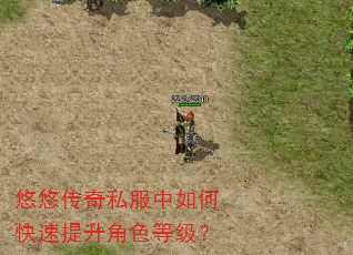 悠悠传奇私服中如何快速提升角色等级? 悠悠传奇私服中如何快速提升角色等级?