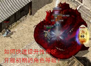 如何快速提升传奇SF开服初期的角色等级? 如何快速提升传奇SF开服初期的角色等级?